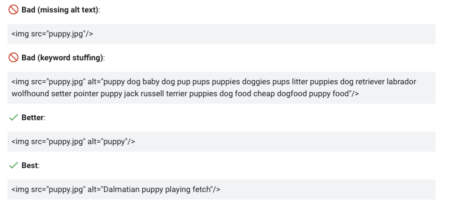 Google's alt text examples, from missing and keyword-stuffed alt text to the best option: Dalmatian puppy playing fetch